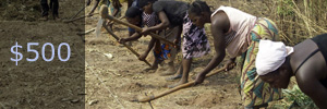 agriculture